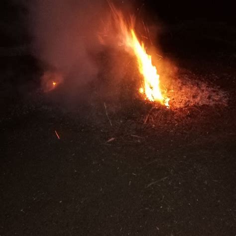 Lauren Young - Grateful to Alice (Alice Cooper) and Sheryl Cooper for