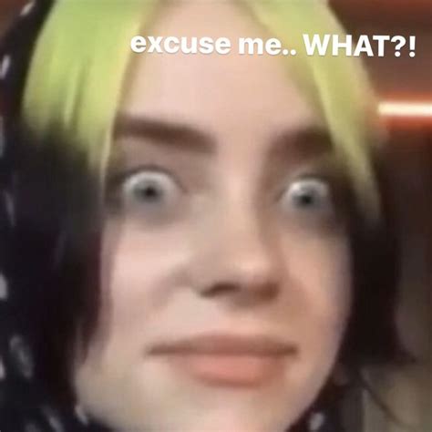 billie eilish memes | Billie, Billie eilish, Mood pics