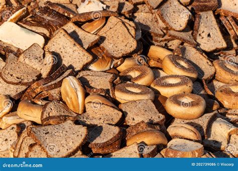 dry bread waste leftover food stock photo image  scraps biology