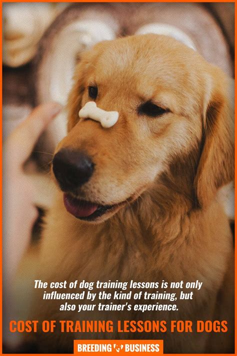 How Much Does A Train Dog Cost