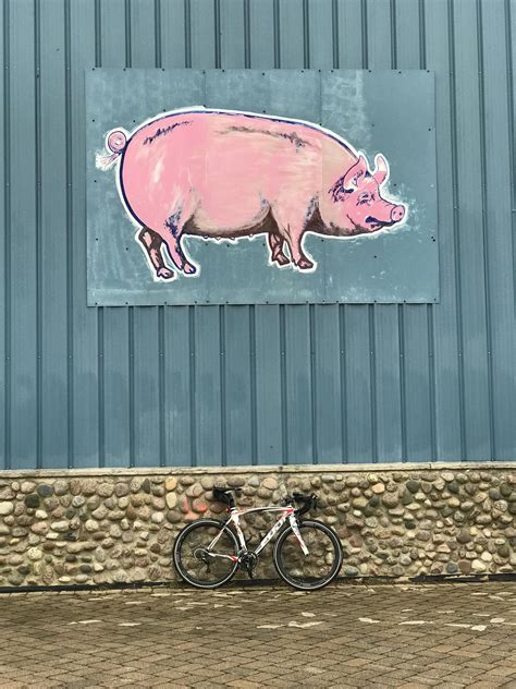 Eat to bike, bike to eat. : r/bicycling