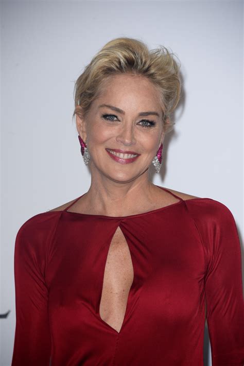 Foto: Sharon Stone se tornou uma verdadeira musa dos anos 90 - Purepeople