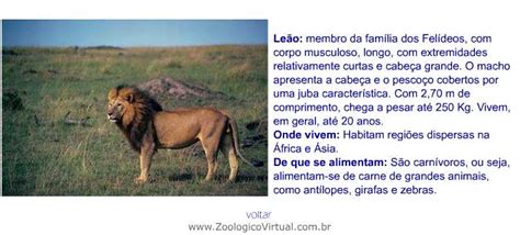 Davizinho e Samuca: textos informativos sobre animais