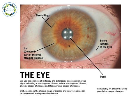 whites   eyes reveal   health organic