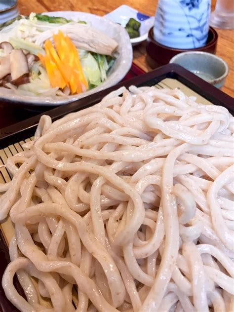 Authentic Musashino Udon at Sasanoya