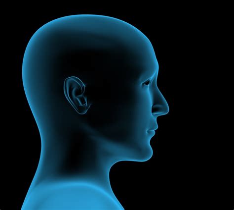 human head transplant      years  surgeon