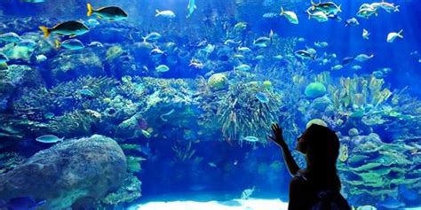 St Louis World Aquarium