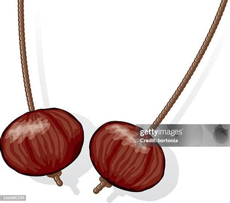 horse chestnuts stock  high res pictures  images