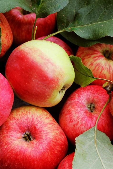 23 Interesting Things New Hampshire is Known For (+ Famous For)