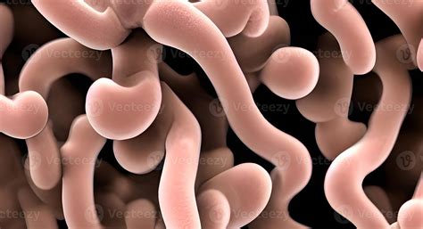 Bacteria and viruses on surface of skin, mucous membrane or intestine, model of MERS, HIV, flu