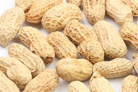 royalty  stock   images