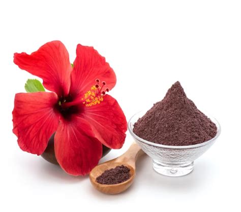 Organic Hibiscus Powder