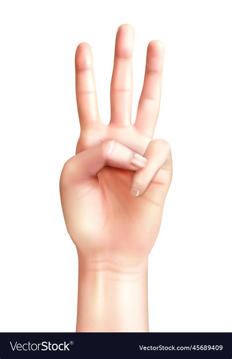 fingers count composition royalty  vector image