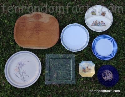 Plate - Ten Random Facts