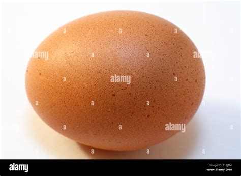 raw  egg stock photo alamy