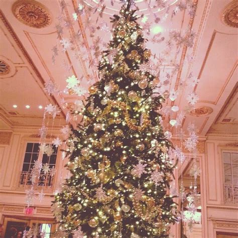 Christmas at The Plaza Hotel | Nyc christmas, New york christmas, Christmas