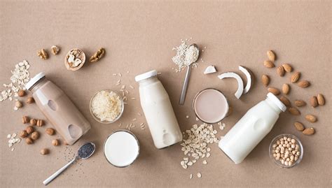 Dairy Alternatives Guide US [Updated 2023] | Dairy Substitutes