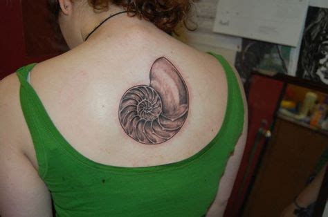 14 Best Spiral Shell Tattoo images | Shell tattoos, Tattoos, Spiral tattoos