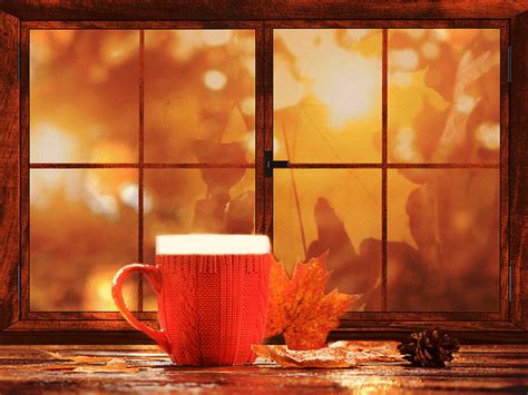 autumn  autumn beautiful gif autumn scenes