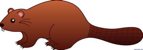 beaver clip art