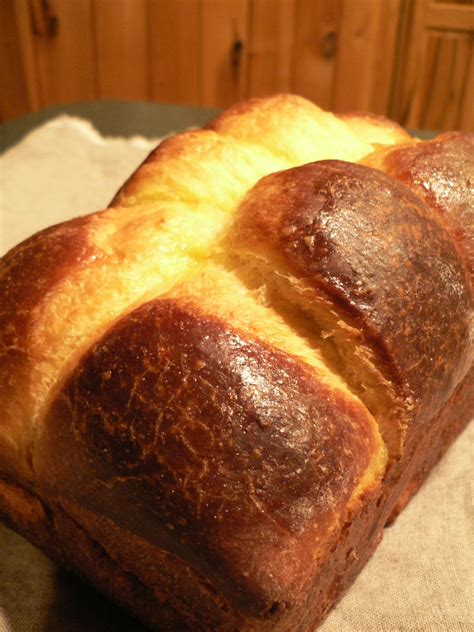 dailybread brioche