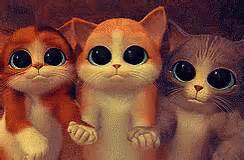 Pwease GIF - Meow Please Pwease - Discover & Share GIFs