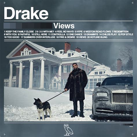 Drake Leak Album Cover Art — Bandicoot Design