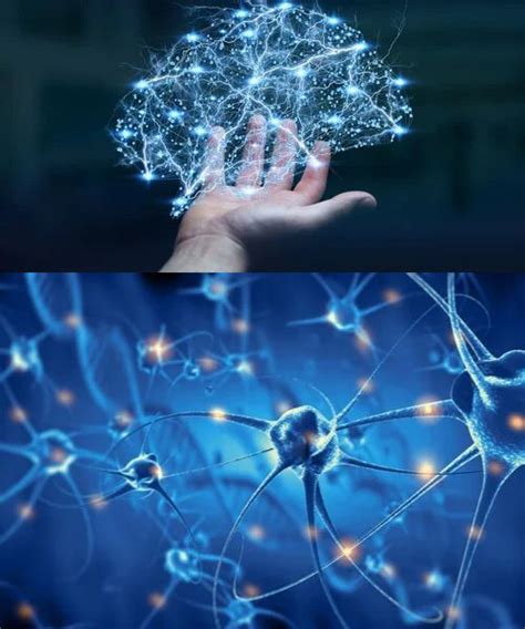 Neuronas artificiales: presente y futuro de una gran revolución - La ...
