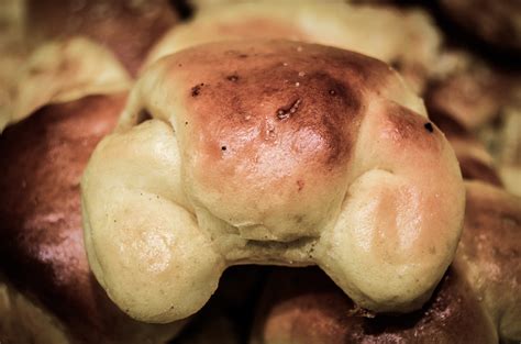 images food mushroom baking cake bakery close  pastries
