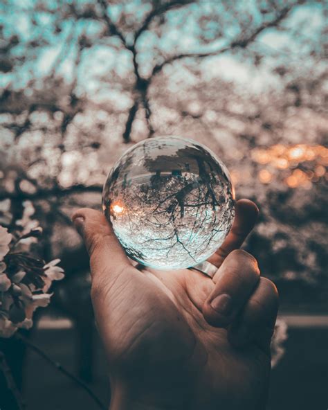 Free Images : hand, tree, water, nature, branch, light, plant, sunlight