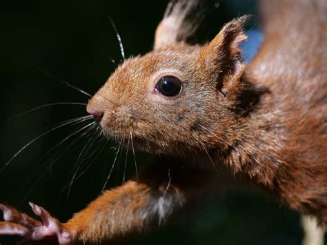 The official plan for repairing the damaged graham road 37