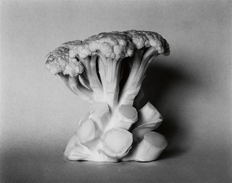 Эдвард Уэстон (Edward Weston) — фотограф — JuicyWorld
