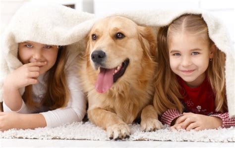 Having a pet benefits your child physically and psychologically.