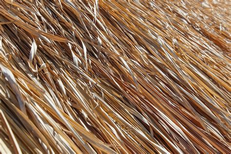 premium photo thatched