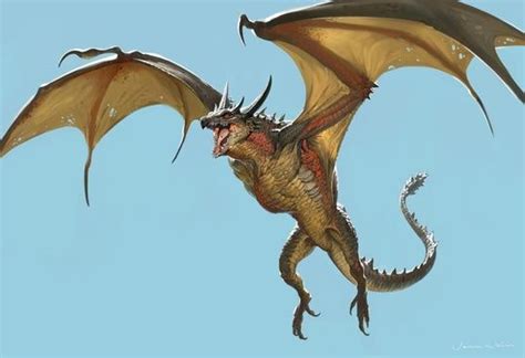 wyvern  art print  jaemin kim fantasy illustration mythical
