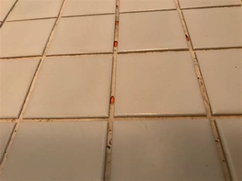 The pro tiler blisworth trick for getting perfect grout lines every time 28