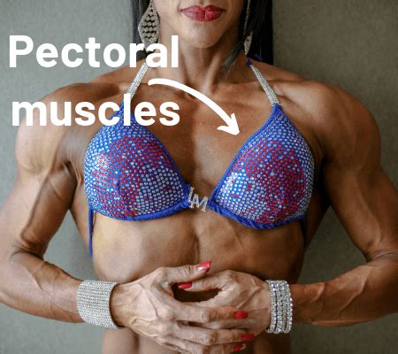 Pectoral Muscles In Women