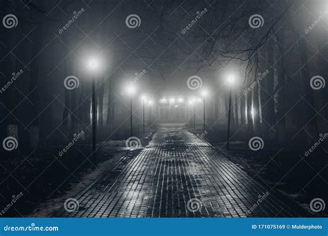 Autumn City Park at Night in Fog Stock Image - Image of garden, nature ...