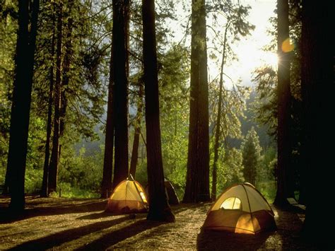 Best Family Camping Trips to Book Now | Travel Channel Blog: Roam ...