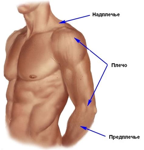 Почему чешутся всё тело с осени по весну? - Вопрос аллергологу - 03 Онлайн