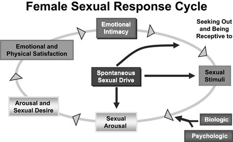 Female Sexual Disorders: Assessment, Diagnosis, and Treatment ...