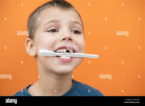 Milk baby tooth hi-res stock photography and images - Alamy