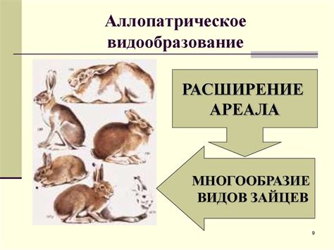Видообразование. Результаты микроэволюции - презентация онлайн