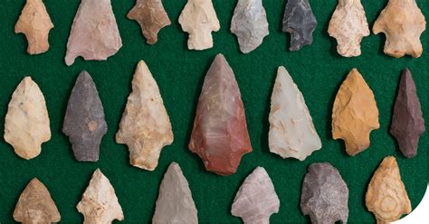 handle store natural history artifacts