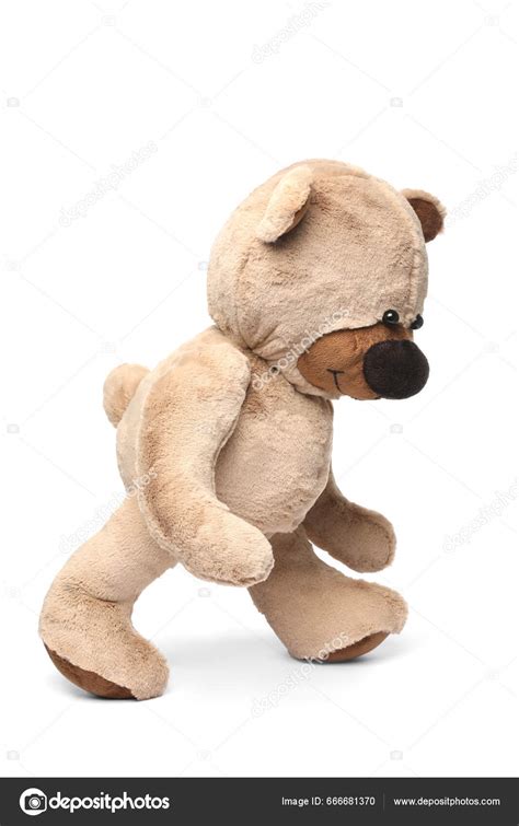 cute teddy bear walking white background stock photo  newafrica