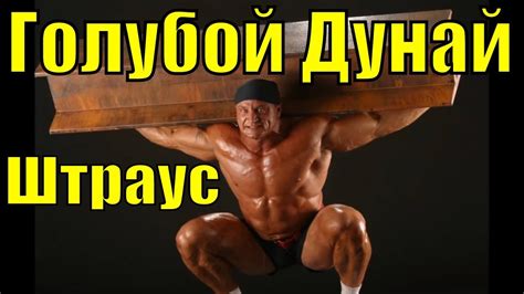Музыка Голубой Дунай Штраус красивая спокойная классическая - YouTube