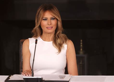 A Republican Lawmaker Accused Russia of Airing 'Nude Melania Trump