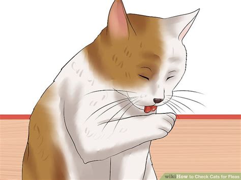 how to know if cats have fleas