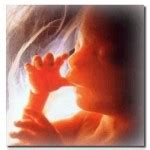 Molar pregnancy - Women Health Info Blog