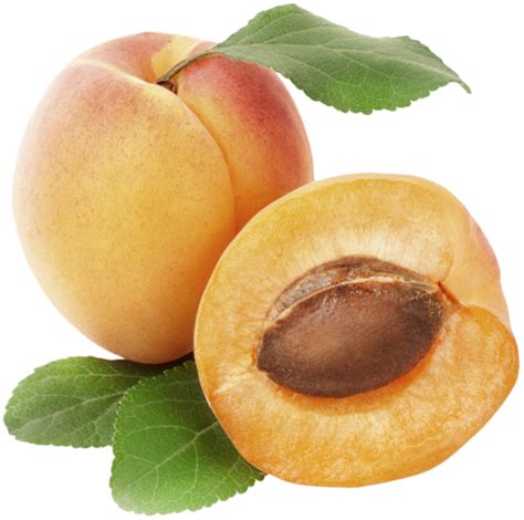 Kajsi Tiranë – Mis Fruit